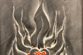 Allen einen gesegnetes neues Jahr!